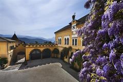 Foto für Weinverkostung im Schlosskeller Castel Sallegg 2024 Dienstag